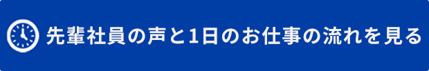 先輩社員の声と1日のお仕事の流れを見る